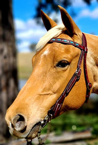Toprail Bridle With Turquoise Beading