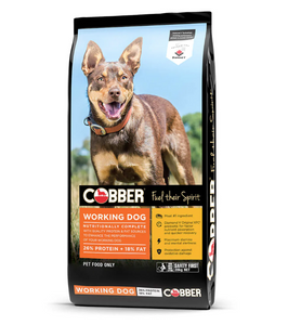 Cobber Working Dog