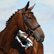 Load image into Gallery viewer, Collegiate Syntovia+ Padded Raised Cavesson Bridle

