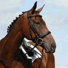 Load image into Gallery viewer, COLLEGIATE SYNTOVIA+ PADDED RAISED CAVESSON BRIDLE
