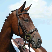Load image into Gallery viewer, Collegiate Syntovia + Raised Flash Bridle
