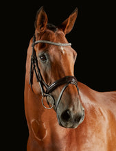Load image into Gallery viewer, Comfitec Luna Bridle
