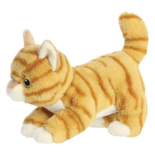 Load image into Gallery viewer, Eco Nation Orange Tabby Cat
