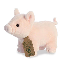 Load image into Gallery viewer, Eco Nation Pig
