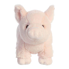 Load image into Gallery viewer, Eco Nation Pig
