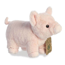 Load image into Gallery viewer, Eco Nation Pig
