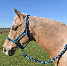 Load image into Gallery viewer, EUROHUNTER EMB COMFORT HALTER &amp; LEAD
