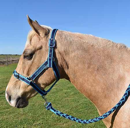 EUROHUNTER EMB COMFORT HALTER & LEAD