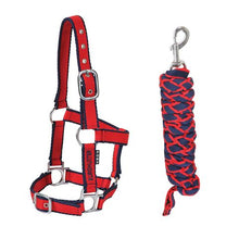 Load image into Gallery viewer, EUROHUNTER EMB COMFORT HALTER &amp; LEAD
