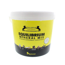 Load image into Gallery viewer, EQUILIBRIUM MINERAL MIX YELLOW
