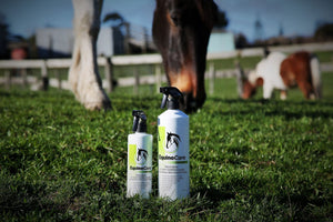 EQUINECARE PROBIOTIC