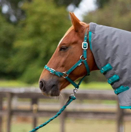 Eurohunter Comfort Halter And Lead Set