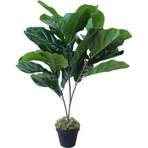 FAUX FIDDLE LEAF FIG