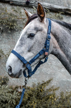 Load image into Gallery viewer, HARCOUR FICTION HALTER
