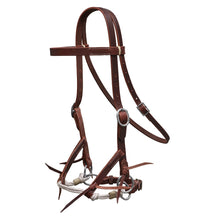 Load image into Gallery viewer, Fort Worth Bitless Bridle
