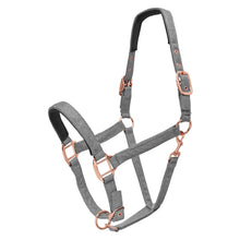 Load image into Gallery viewer, SHOWMASTER GLITTER HALTER
