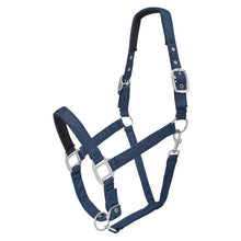 Load image into Gallery viewer, SHOWMASTER GLITTER HALTER
