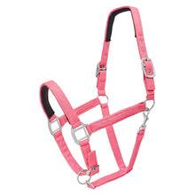 Load image into Gallery viewer, SHOWMASTER GLITTER HALTER
