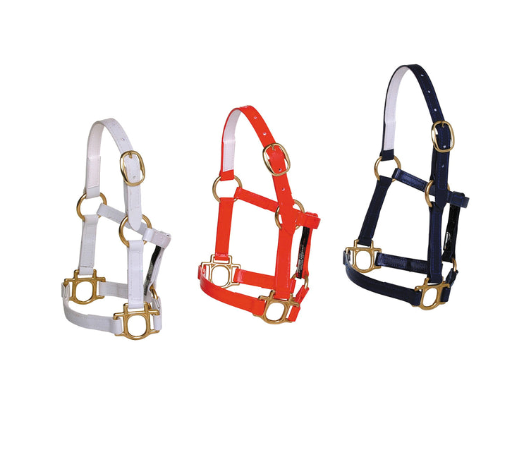 HORSE SENSE MINI HALTER