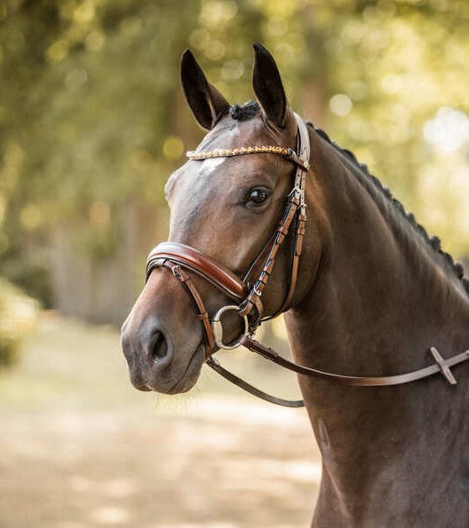 HORZE KANSAS LEATHER BRIDLE