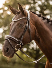 Load image into Gallery viewer, HORZE KANSAS LEATHER BRIDLE
