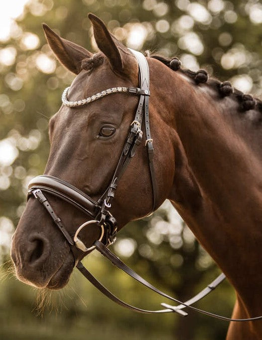 HORZE KANSAS LEATHER BRIDLE