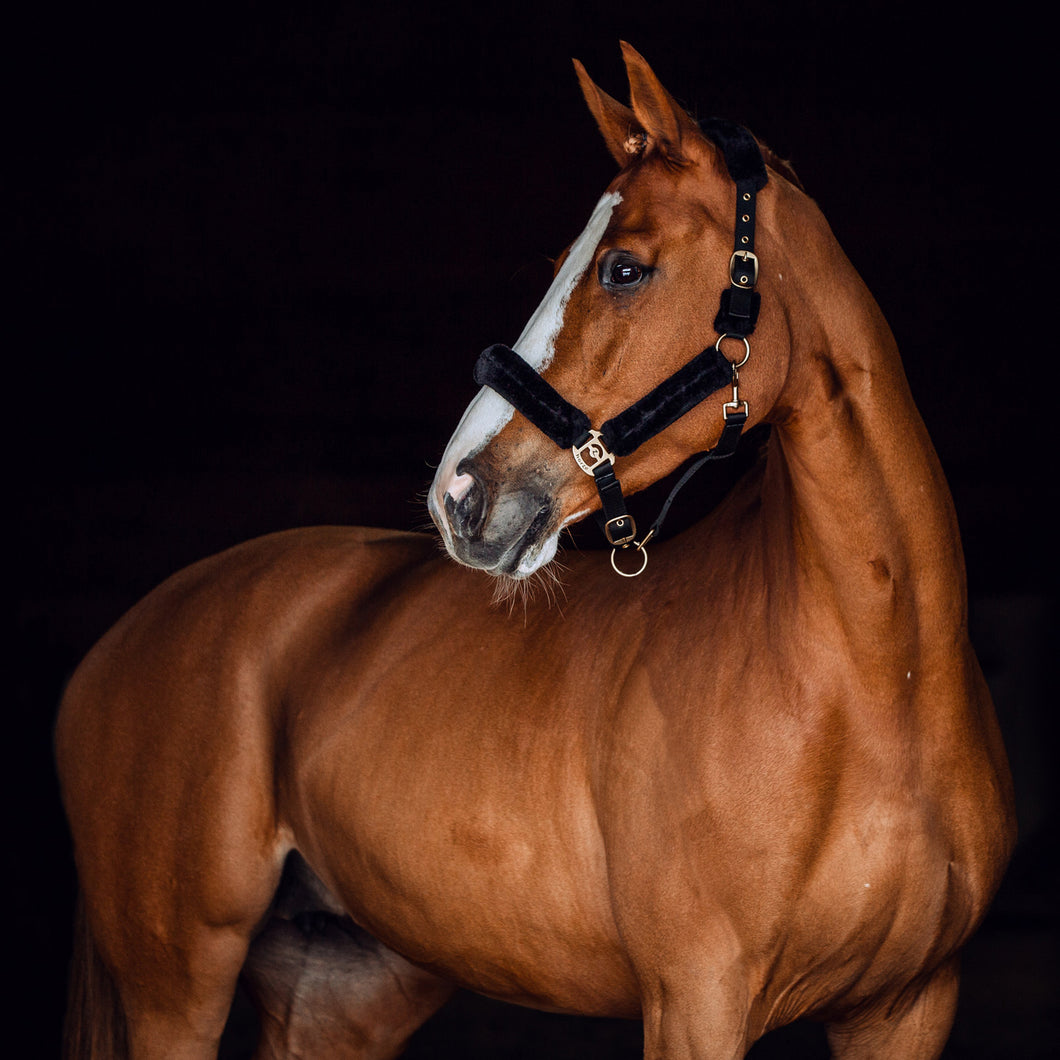 Horze Lincoln Halter With Fur