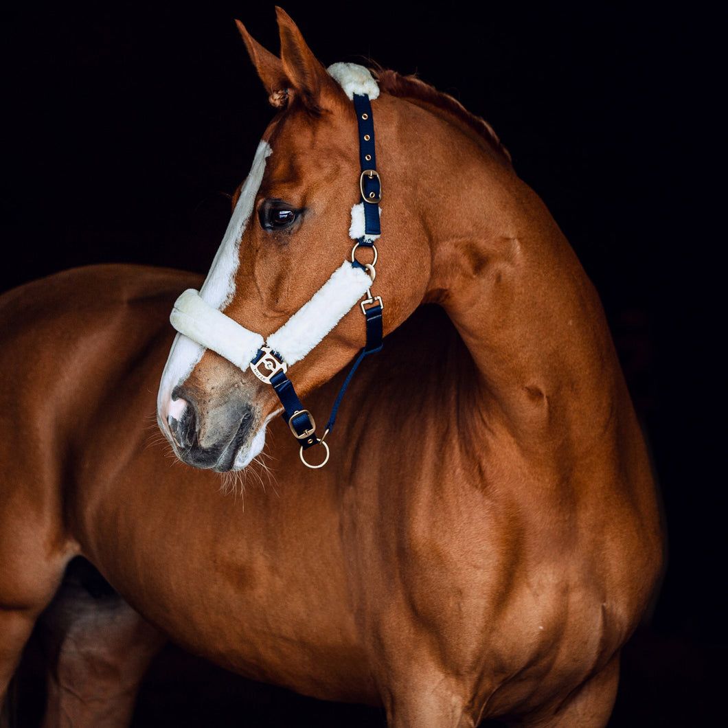 HORZE LINCOLN HALTER WITH FUR