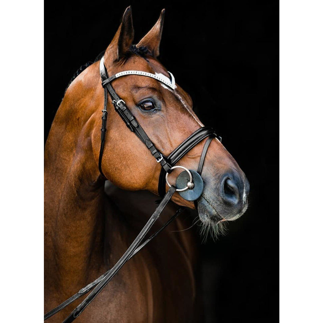 HORZE NORFOLK BRIDLE