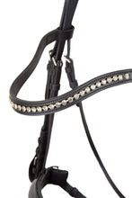 Load image into Gallery viewer, HORZE PRINCETON LEATHER BRIDLE
