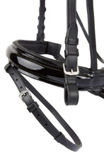 Load image into Gallery viewer, HORZE PRINCETON LEATHER BRIDLE
