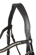 Load image into Gallery viewer, HORZE PRINCETON LEATHER BRIDLE
