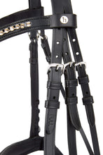 Load image into Gallery viewer, HORZE PRINCETON LEATHER BRIDLE

