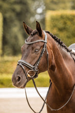 Load image into Gallery viewer, HORZE PRINCETON LEATHER BRIDLE
