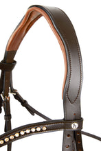 Load image into Gallery viewer, HORZE PRINCETON LEATHER BRIDLE
