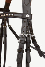 Load image into Gallery viewer, HORZE PRINCETON LEATHER BRIDLE
