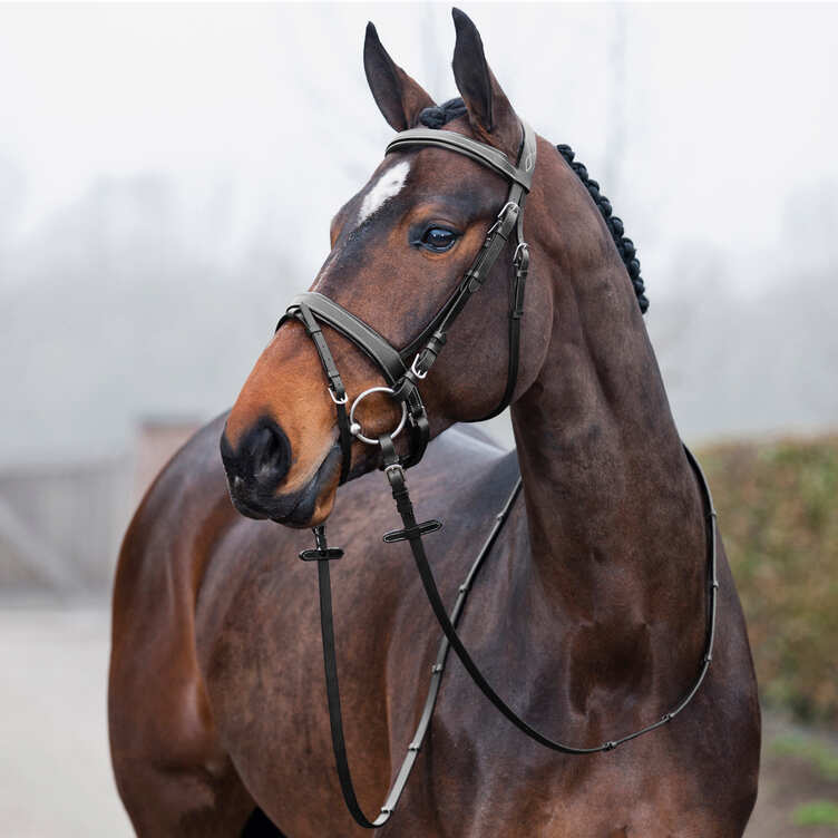 HORZE VENICE BRIDLE