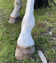 Load image into Gallery viewer, Hairy Pony All Natural Original Shampoo Bar
