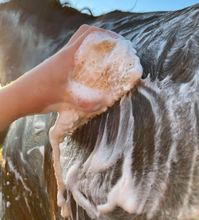 Load image into Gallery viewer, Hairy Pony All Natural Original Shampoo Bar
