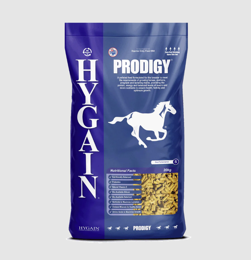 Hygain Prodigy