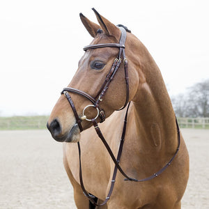 HORZE CONSTANCE BRIDLE