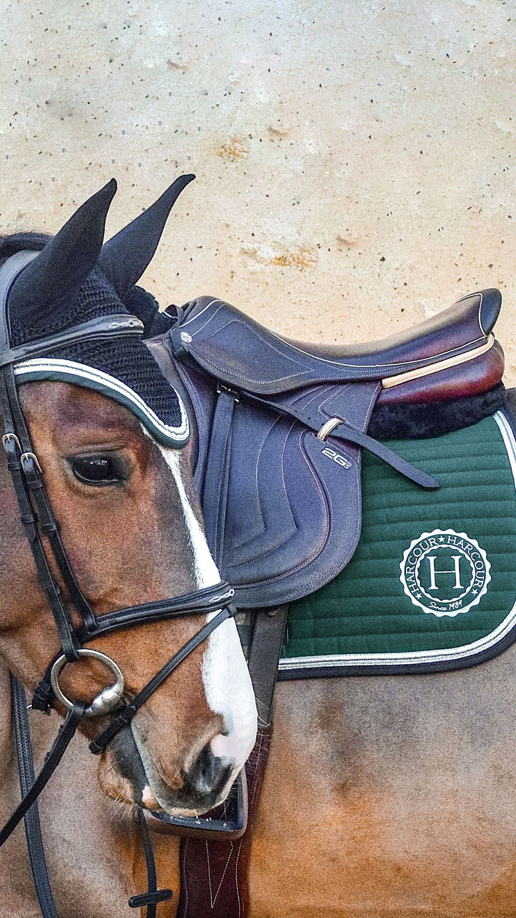 HARCOUR INDIANA SADDLE PAD & FLY VEIL SET