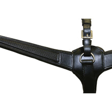 Load image into Gallery viewer, JEREMY &amp; LORD PREMIER LEATHER BREASTPLATE
