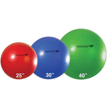 Load image into Gallery viewer, JOLLY MEGA HORSE BALL
