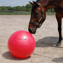 Load image into Gallery viewer, JOLLY MEGA HORSE BALL
