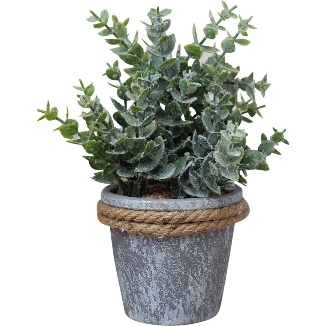 GUM LEAF POT WITH ROPE