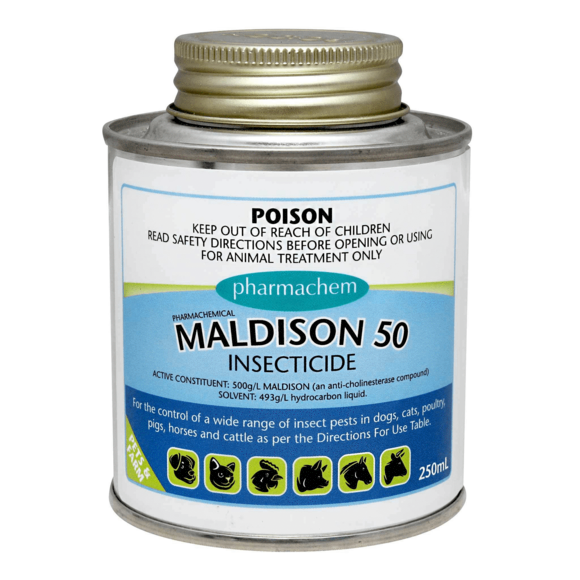 MALDISON 50