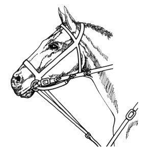 MARKET HARBOROUGH MARTINGALE