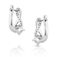 Load image into Gallery viewer, Montana Silversmith The Right Note Crystal Earrings
