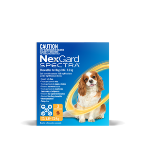 NEXGARD SPECTRA DOGS 3.6-7.5KG